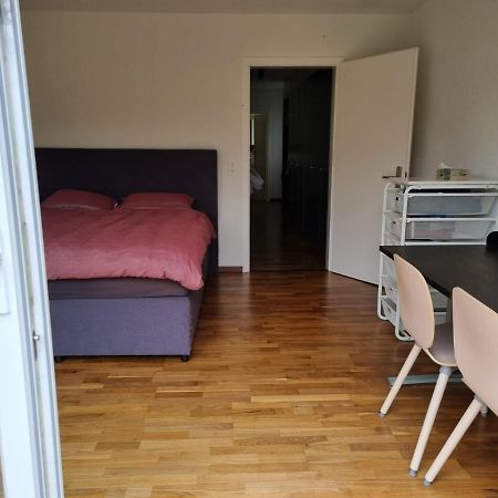 Chambre Lumineuse Dans Une Grande Villa Le Landeron エクステリア 写真